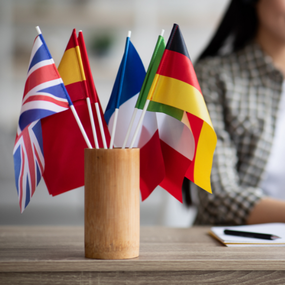 formation langues étrangères appuisolide